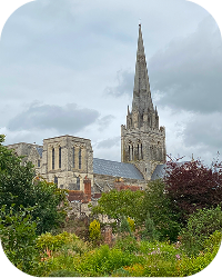 Языковые курсы для взрослых и профессионалов