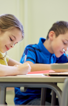 Школьное <br> образование 10+